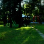 Ogród