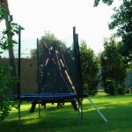 Ogród